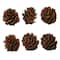 Pumpkin, Pinecone, Maple Leaf & Berry Mix, 14ct. by Ashland®